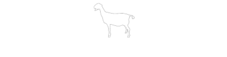 Bedda Farms - Nubian Goats, Bozeman Montana